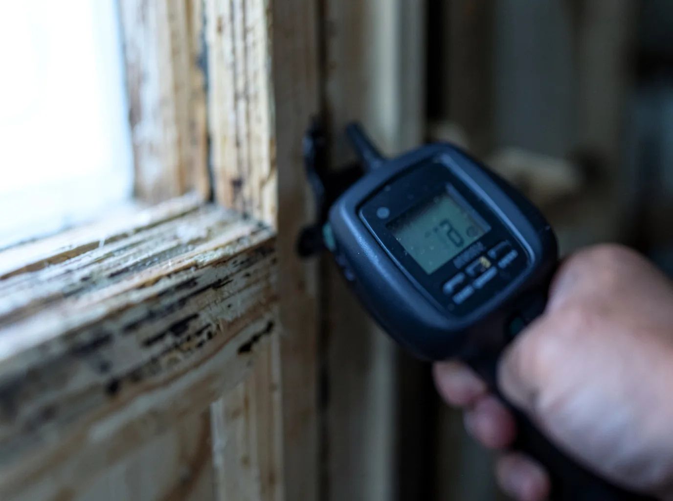 Moisture Inspection And Documentation in Ravenna, KY
